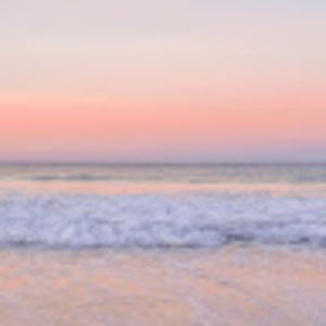 Meet your Posher, Savannah